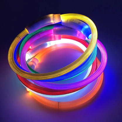LED Dog Collar, USB Rechargeable Illuminated Pet Dog Collar, 3 Modes, LED Illuminated Anti-Lost Dog Collar
