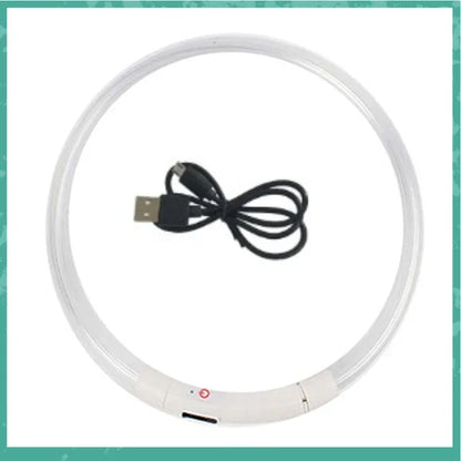 LED Dog Collar, USB Rechargeable Illuminated Pet Dog Collar, 3 Modes, LED Illuminated Anti-Lost Dog Collar