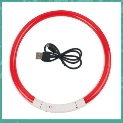 LED Dog Collar, USB Rechargeable Illuminated Pet Dog Collar, 3 Modes, LED Illuminated Anti-Lost Dog Collar